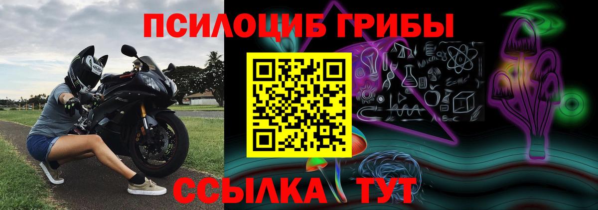 Галлюциногенные грибы MAGIC MUSHROOMS  Псилоцибиновые грибы Cubensis  Великий Устюг  Вход с VPN 